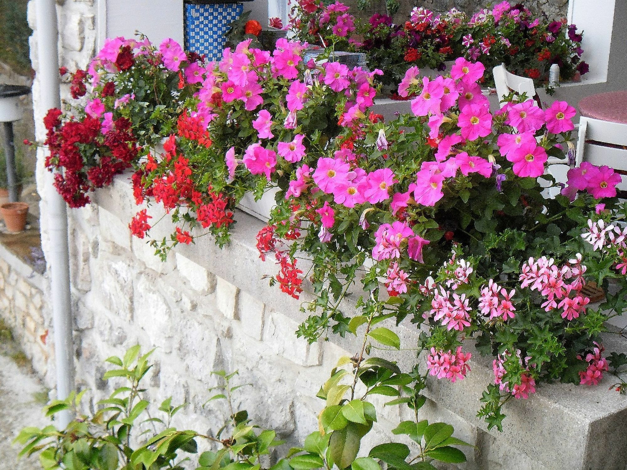 Apartments Kestenovi Dvori Opatija Dış mekan fotoğraf